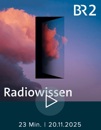 Wie rational sind meine Entscheidungen