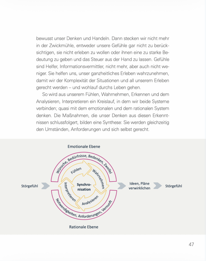 Das Anti-Selbstboykott-Programm der Klaerungskreis